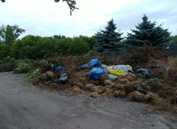 Przy Lasku Aniołowskim zgromadzono ogromne ilości odpadów zielonych, alarmują nas mieszkańcy