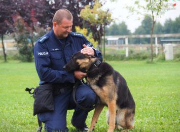 Dwa nowe psy będą tropić, patrolować i pomagać częstochowskim mundurowym