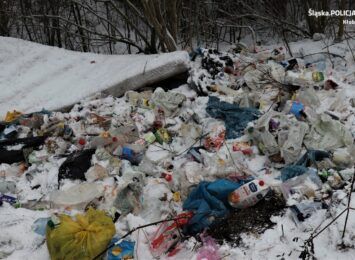 Kolejne dzikie wysypiska śmieci. Tym razem w rejonie Libidzy i w Gruszewni