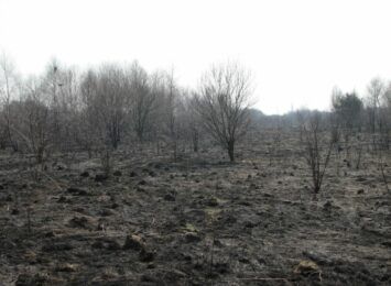 Rosnąca liczba pożarów suchych traw, większość bardzo niebezpiecznych. W rejonie Kłobucka ponad 100 pożarów w tym roku