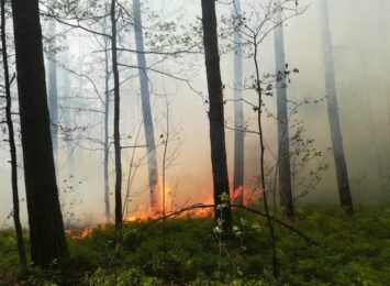 Pożar lasu w Blachowni! Na miejscu trwa akcja gaśnicza, również z powietrza