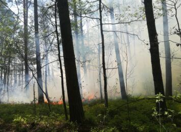 Przez cały letni sezon częstochowscy strażacy apelują do nas o ostrożność w lasach
