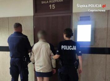 Kompletnie pijany kierowca TIR-a zatrzymany na obwodnicy Częstochowy