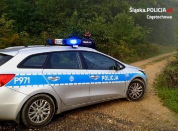 Kilka godzin trwała akcja poszukiwawcza grzybiarza, który zaginął w lesie w Krasicach w gminie Mstów