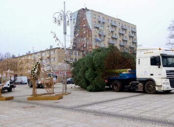 Na Placu Biegańskiego jest już bożonarodzeniowe drzewko