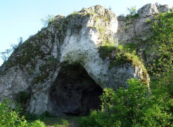 RDOŚ Katowice apeluje: Nie wchodź do jaskiń w okresie zimowym. Twoja obecność wybudza nietoperze ze snu