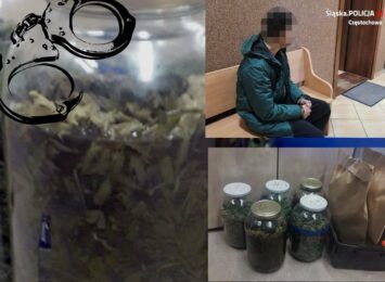 7,5 kilograma marihuany zabezpieczonych w Mstowie