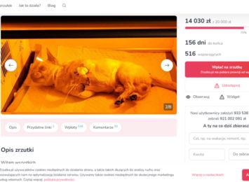 Uruchomiono zbiórkę internetową na pokrycie kosztów leczenia pogryzionego przez pitbulla psa