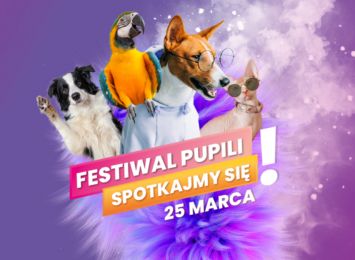 Festiwal psów i kotów w Częstochowie w sobotę (25.03), bezpłatnie dla wszystkich miłośników zwierząt