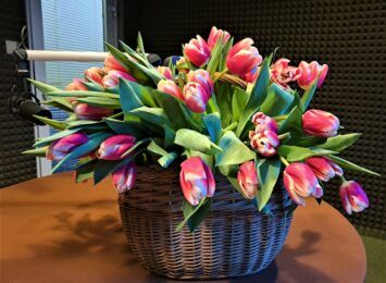 Tulipany dla Pań z okazji 8 marca. Kobiety też o... mężczyznach