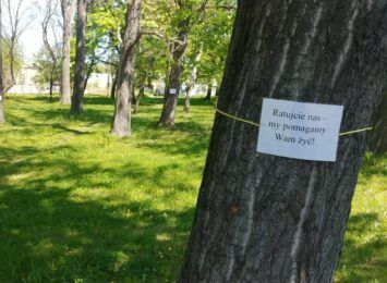 Park Narutowicza. Bronią drzew przeznaczonych do wycinki