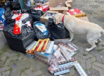 Służbowy pies pomógł znaleźć nielegalne papierosy. Wpadł mieszkaniec powiatu częstochowskiego
