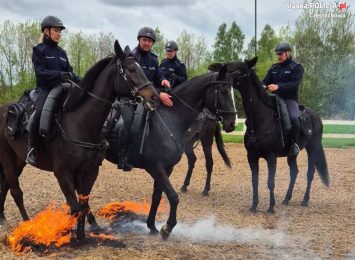 Policyjne konie po atestacji