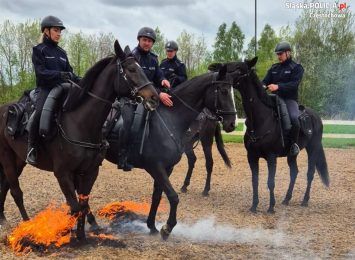 Policyjne konie po atestacji